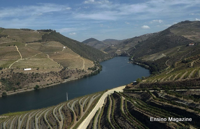 Alto Douro Vinahteiro.jpg